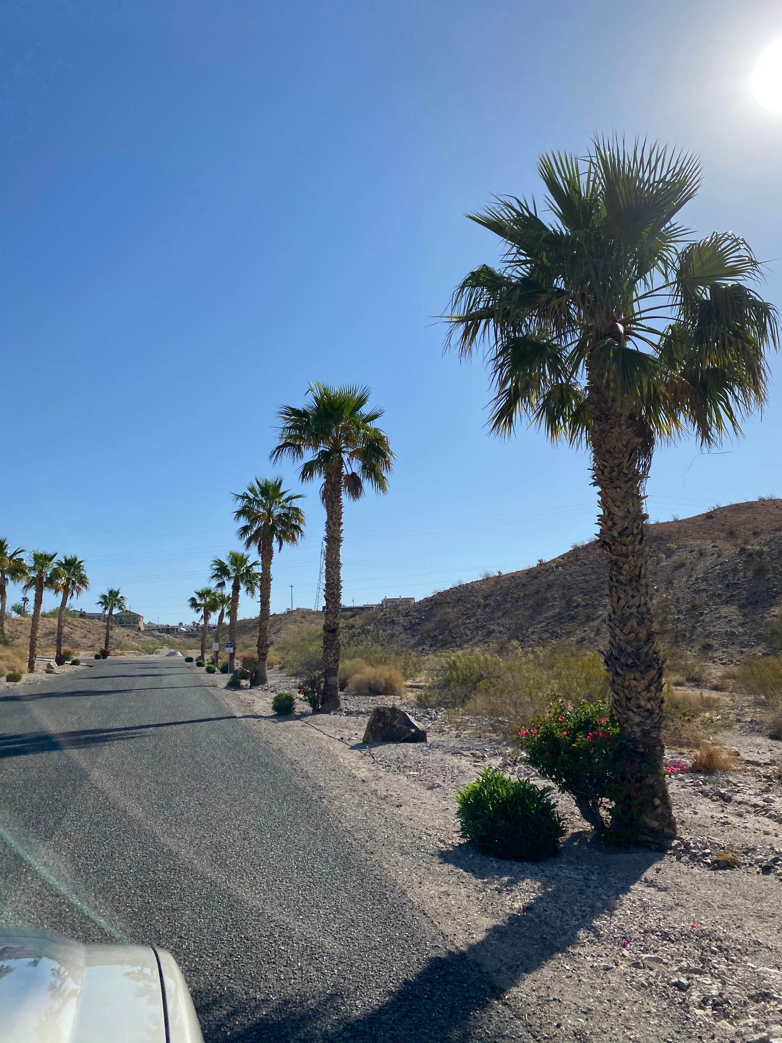 Camper-submitted photo at Ridgeview RV Resort near Nipton, CA