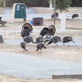 Review photo of Coyote Lake Harvey Bear Ranch County Park by Jerry , April 23, 2021