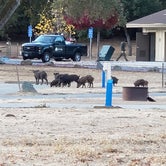 Review photo of Coyote Lake Harvey Bear Ranch County Park by Jerry , April 23, 2021