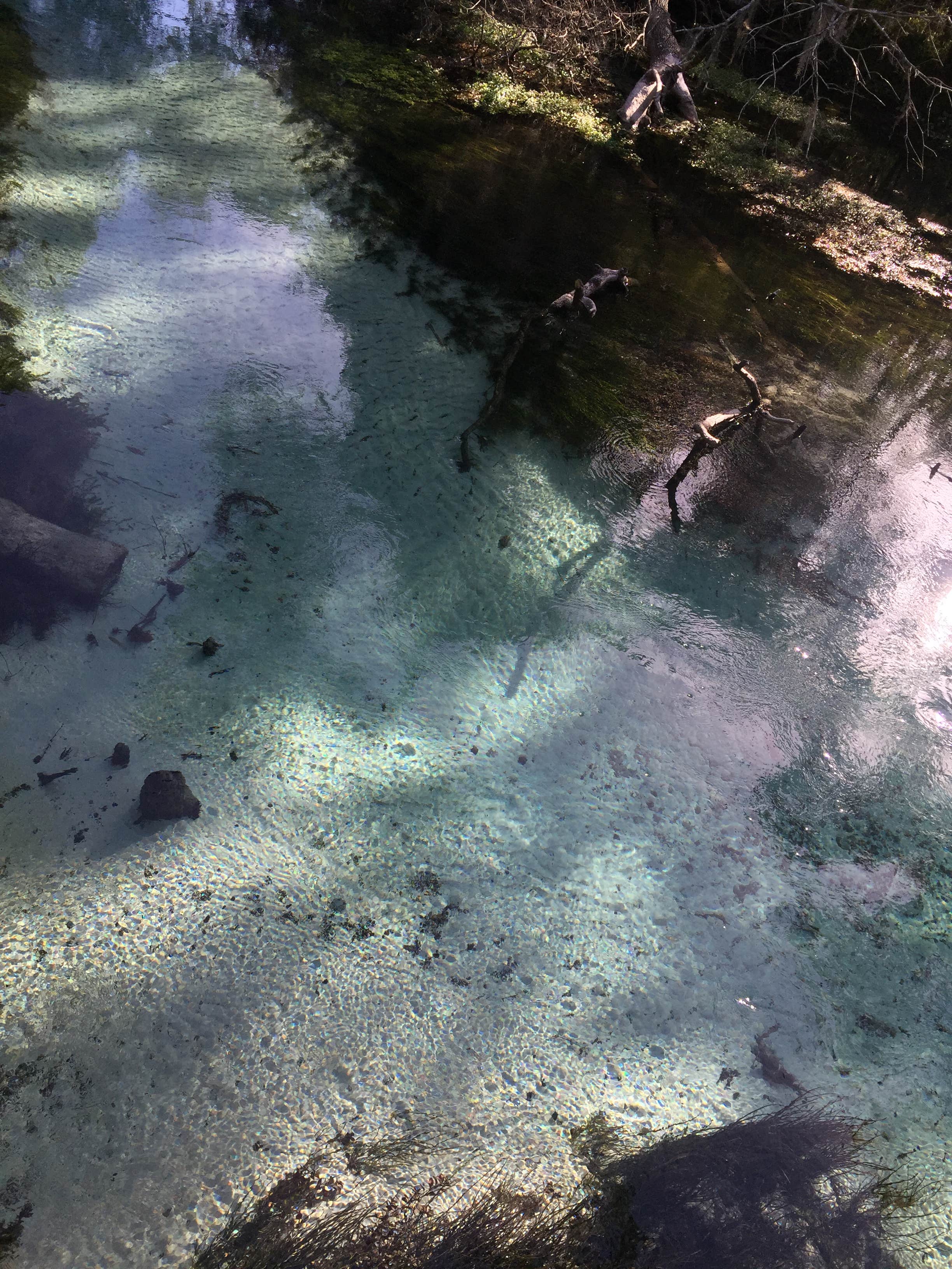 Camper-submitted photo at Ruth B. Kirby Gilchrist Blue Springs State Park Campground near High Springs, FL