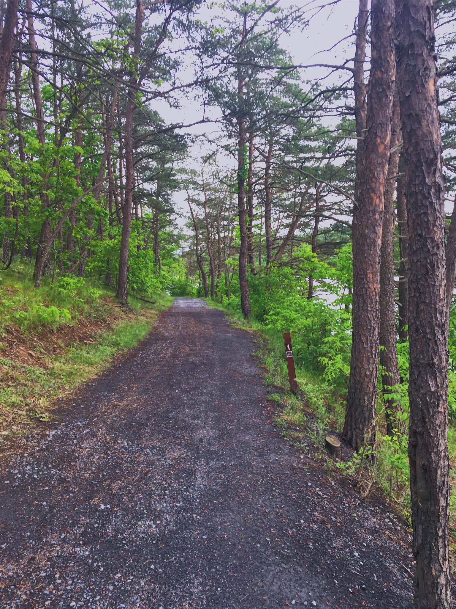 Camper submitted image from Shawnee State Park Campground - 4