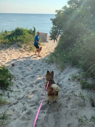 Camper-submitted photo at Cape Charles / Chesapeake Bay KOA near Hampton, VA