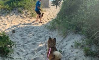 Erika S.'s photo of camping with pets at Cape Charles / Chesapeake Bay KOA near Cheriton, VA