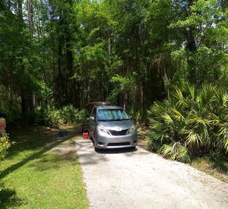 Camper-submitted photo from Suwannee River Rendezvous Resort and Campground