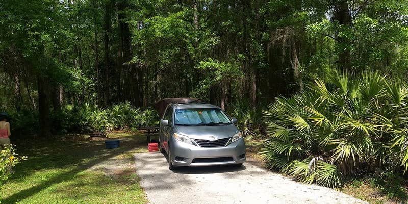 Camper submitted image from Ocean Pond Campground