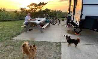 Erika S.'s photo of camping with pets at Camp Hatteras in North Carolina