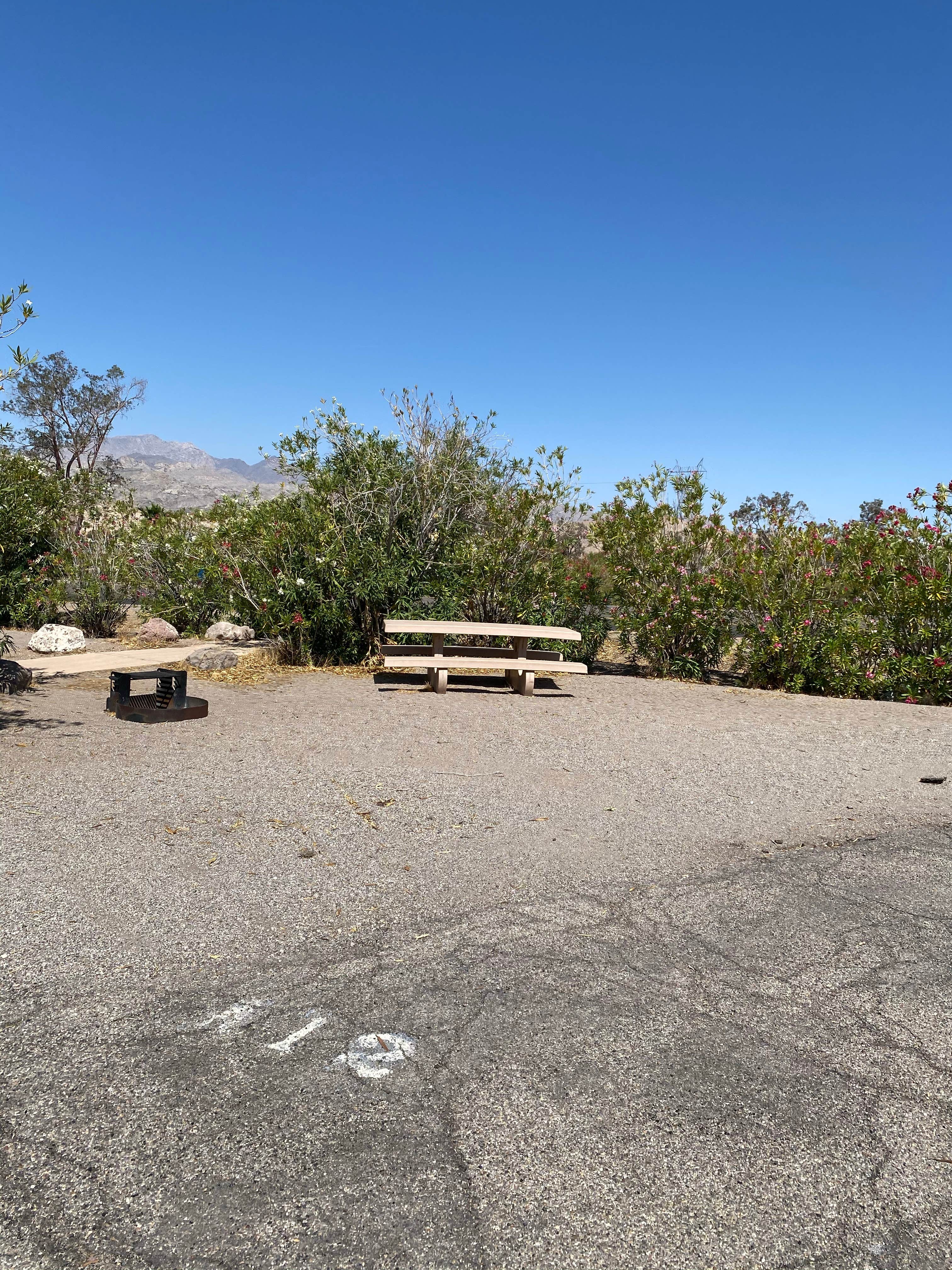 Camper-submitted photo at Katherine Landing South Campground near Nipton, CA