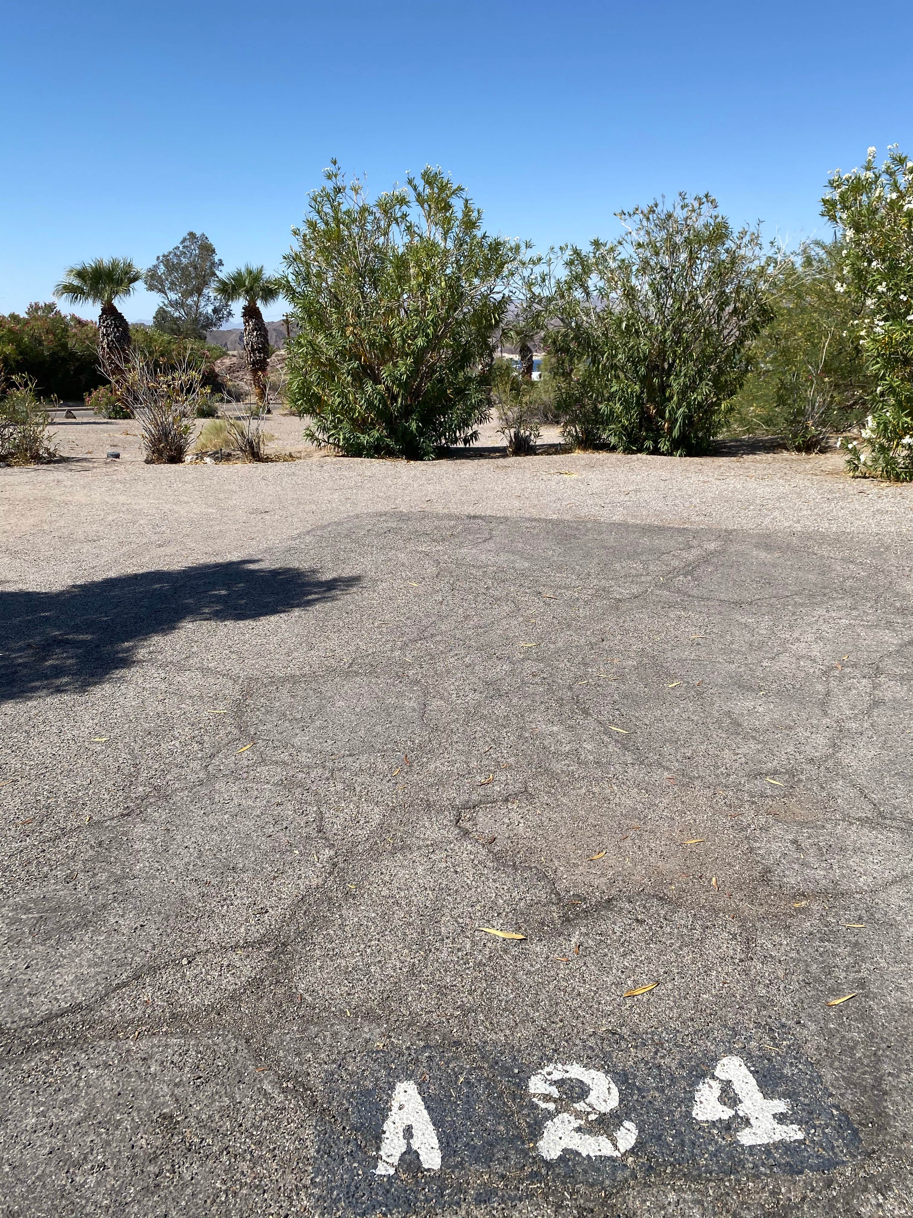 Camper submitted image from Katherine Landing South Campground - 4