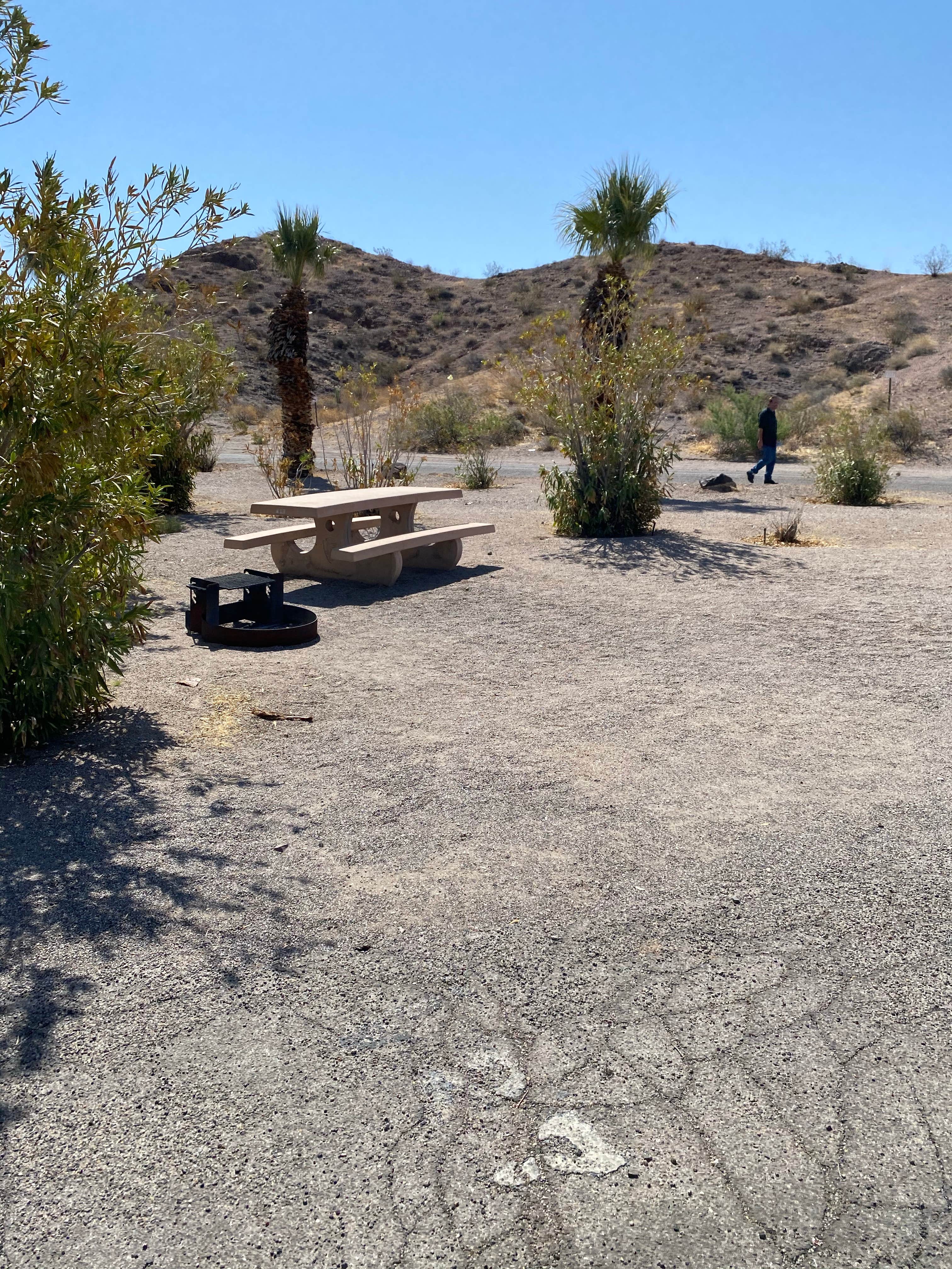 Camper-submitted photo at Katherine Landing South Campground near Nipton, CA