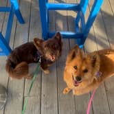 Review photo of Sun Outdoors Rehoboth Bay by Erika S., April 23, 2021