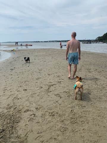 Erika S.'s photo of camping with pets at Sun Outdoors Ocean City near Ocean Pines, MD