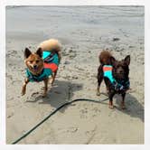 Review photo of Sun Outdoors Ocean City by Erika S., April 23, 2021