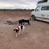 Review photo of Dispersed Camping Outside of Moab - Sovereign Lands by Rita Marie C., April 23, 2021