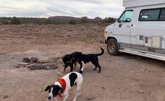 Rita Marie C.'s photo of camping with pets at Dispersed Camping Outside of Moab - Sovereign Lands near Arches National Park
