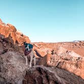 Review photo of Dispersed Camping Outside of Moab - Sovereign Lands by Rita Marie C., April 23, 2021