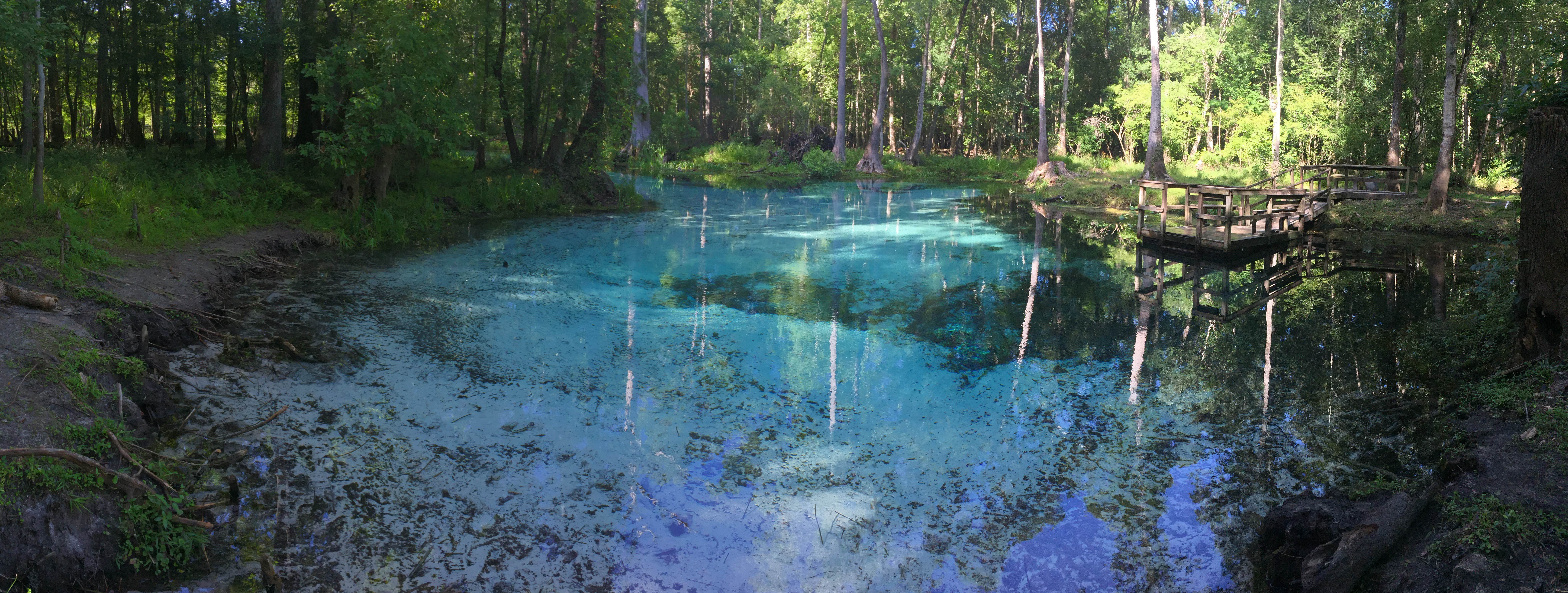 Camper submitted image from Ruth B. Kirby Gilchrist Blue Springs State Park Campground - 2