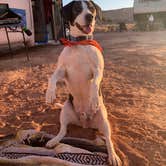 Review photo of Dispersed Camping Outside of Moab - Sovereign Lands by Rita Marie C., April 23, 2021