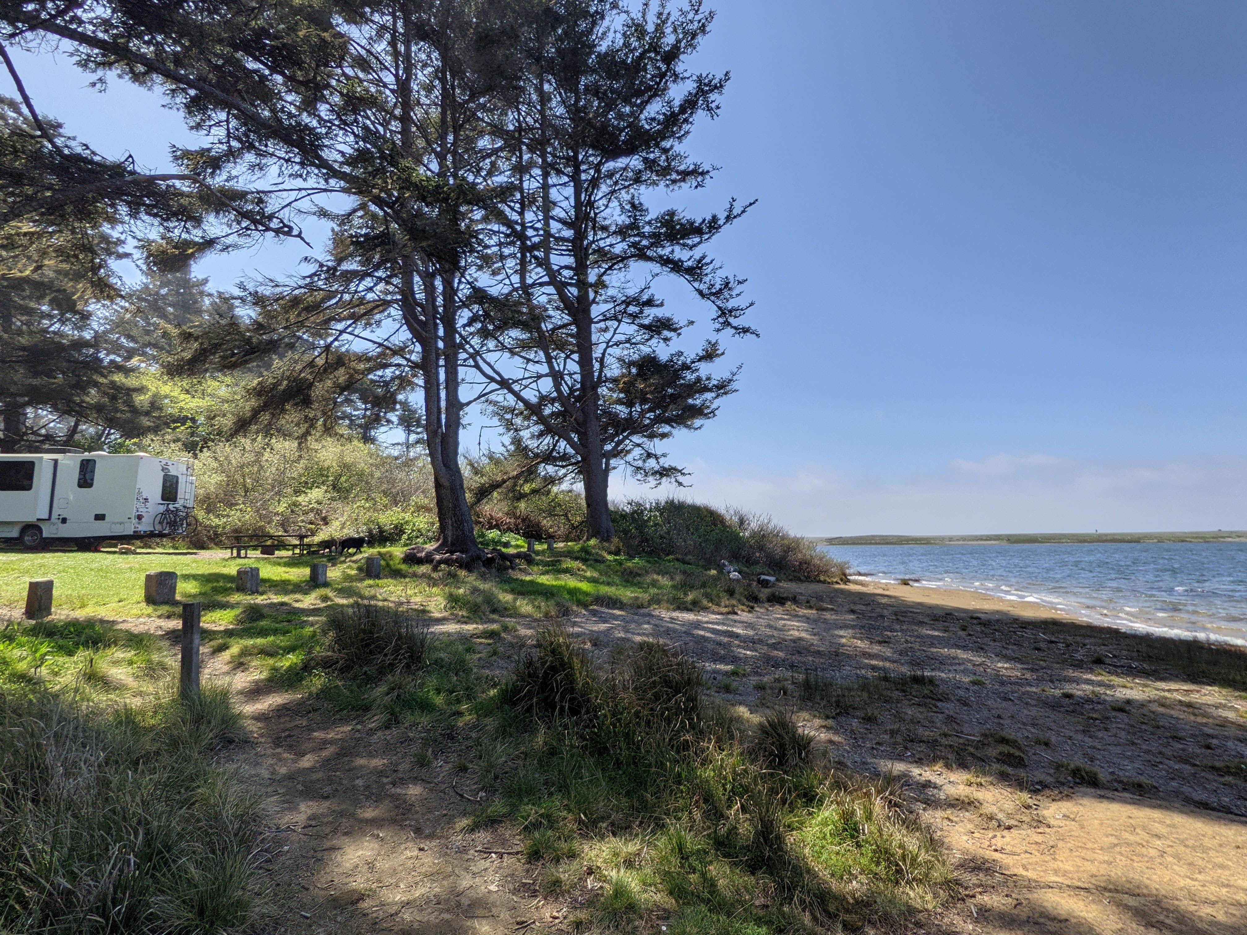 Camper submitted image from Big Lagoon County Park - 3