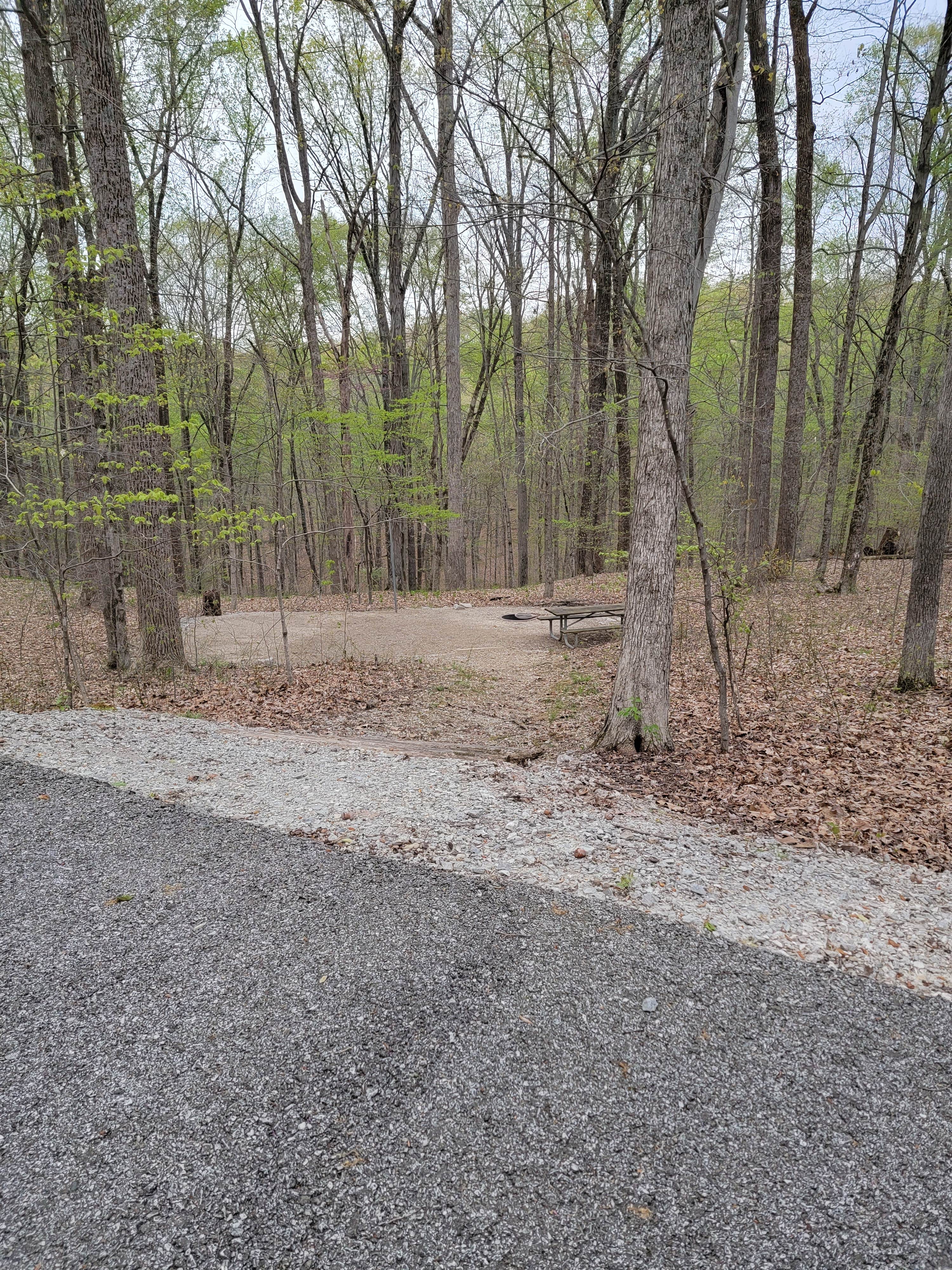 Camper submitted image from Hoosier National Forest Southern Point Loop Campground - 1