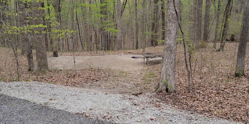 Camper submitted image from Hoosier National Forest Southern Point Loop Campground