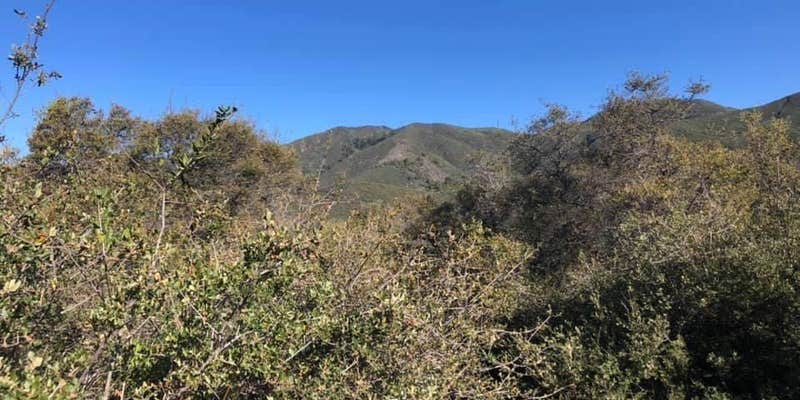 Camper submitted image from Blue Oak Campground