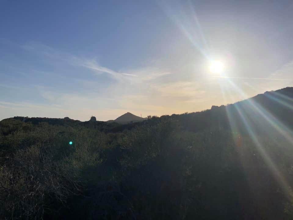 Camper-submitted photo at Blue Oak Campground near Williams, CA