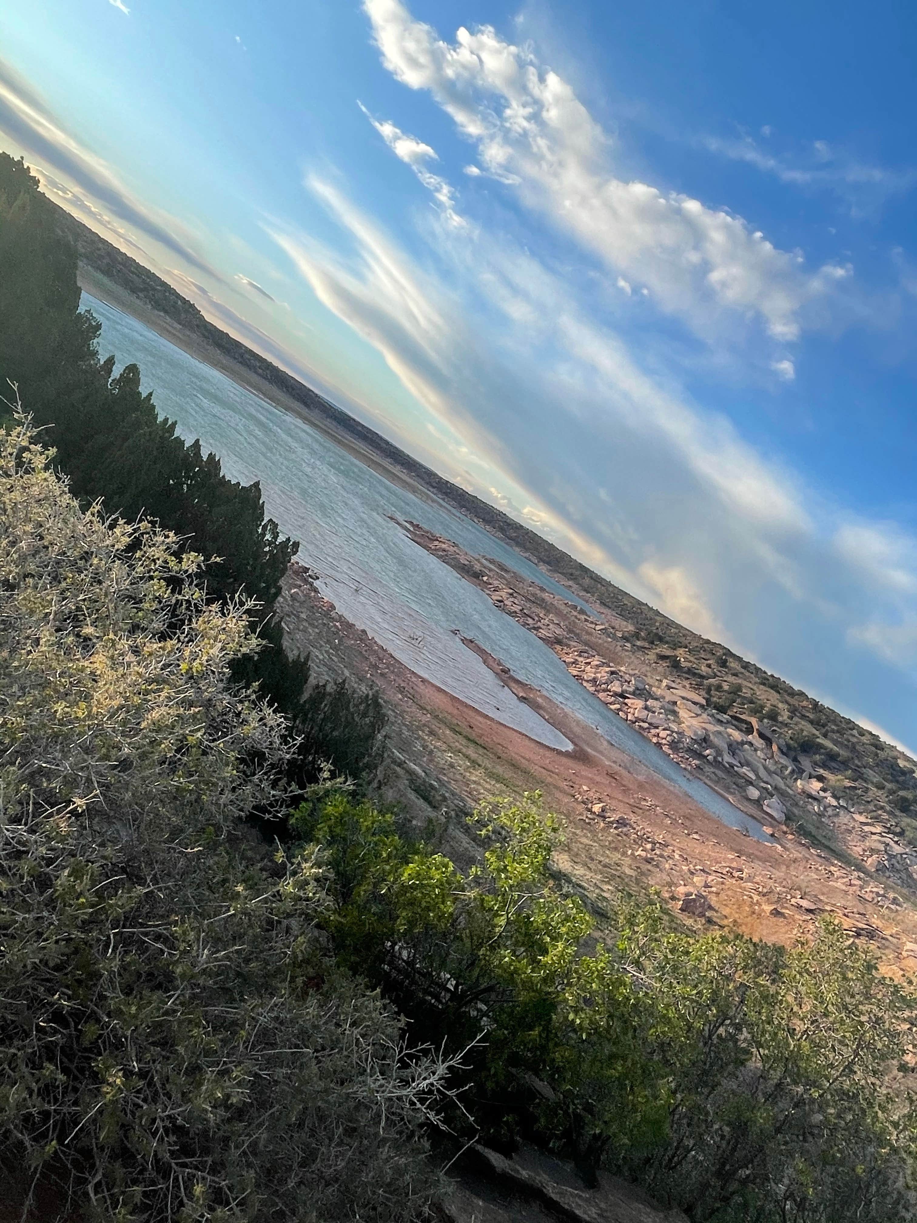 View All