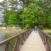 Review photo of Martin Creek Lake State Park Campground by Lori C., April 24, 2021