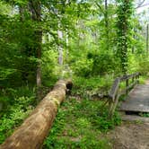 Review photo of Martin Creek Lake State Park Campground by Lori C., April 24, 2021