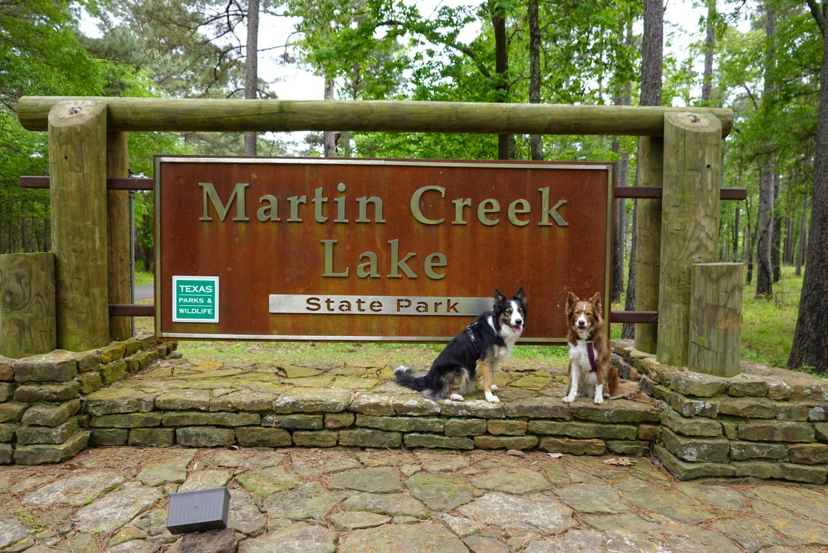 Lori C.'s photo of camping with pets at Martin Creek Lake State Park Campground near Easton, TX