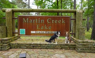 Lori C.'s photo of camping with pets at Martin Creek Lake State Park Campground near Easton, TX