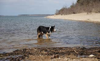Lori C.'s photo of camping with pets at Eisenhower State Park Campground near Lake Texoma