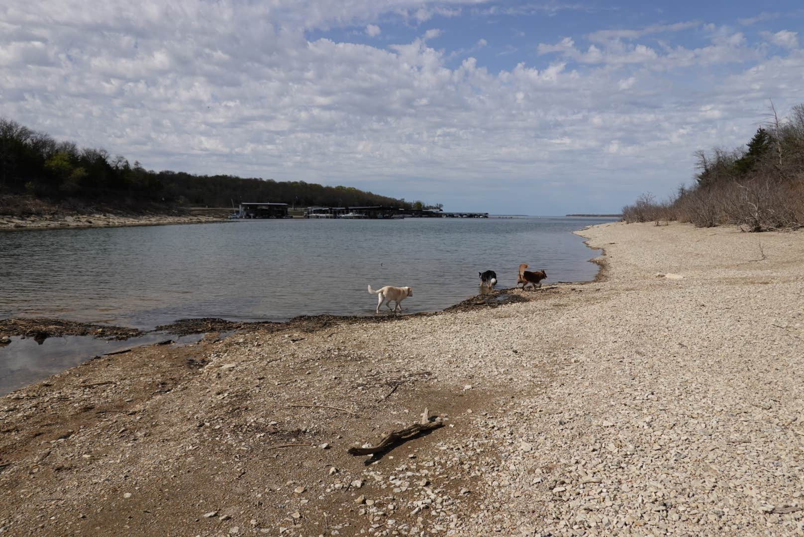 Lori C.'s photo of camping with pets at Eisenhower State Park Campground near Lake Texoma