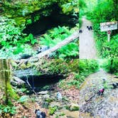 Review photo of Mammoth Cave Campground — Mammoth Cave National Park by Shelly S., June 1, 2018