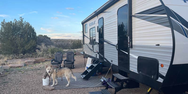 Camper submitted image from Cove Campground — Conchas Lake State Park