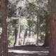Saddle Campground