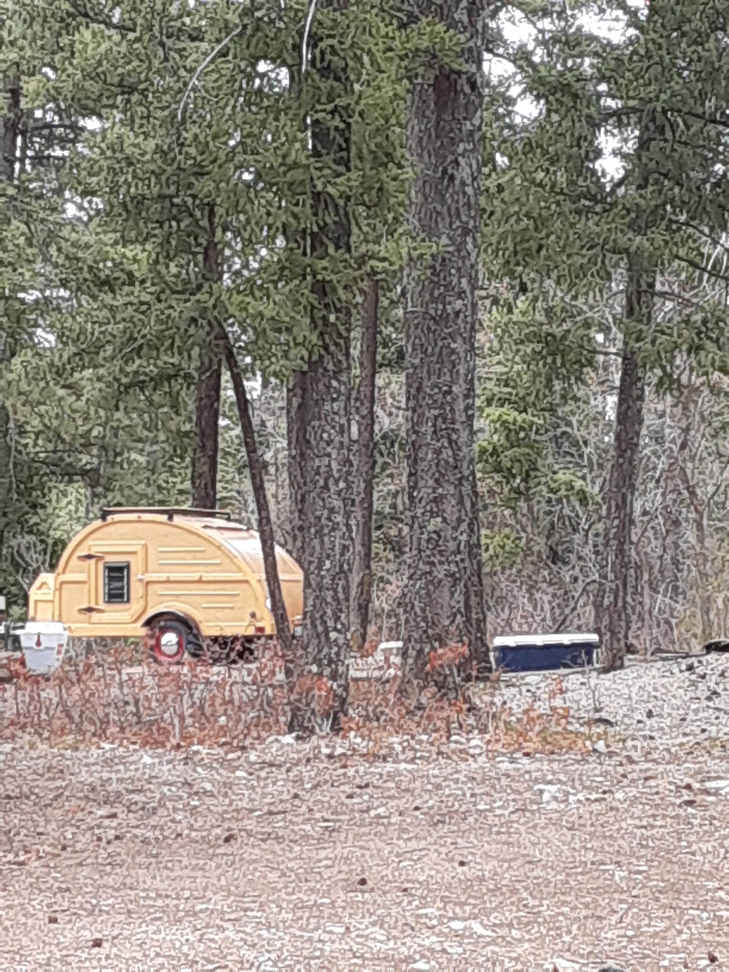 Camper-submitted photo at Saddle Campground near Lincoln National Forest
