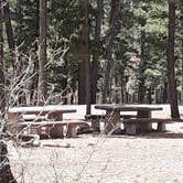 Review photo of Saddle Campground by Jamie P., April 24, 2021