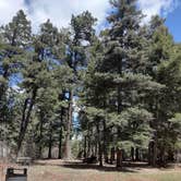Review photo of Saddle Campground by Jamie P., April 24, 2021