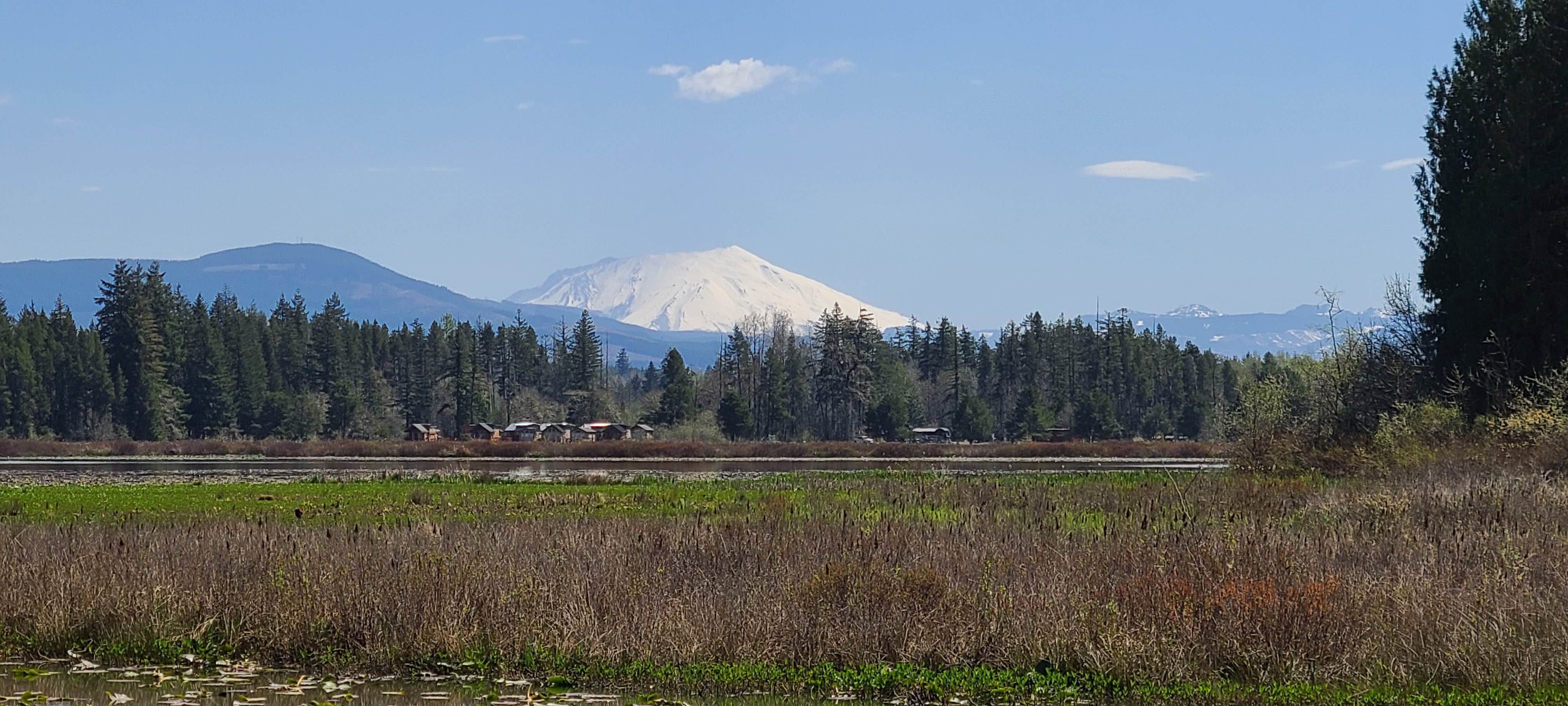 Camper-submitted photo at Silver Cove RV Resort near Toledo, WA