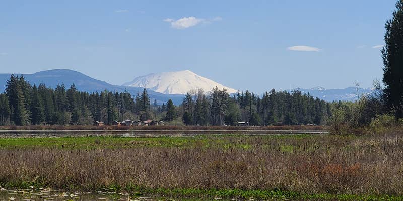 Camper submitted image from Silver Cove RV Resort