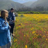 Review photo of Plaskett Creek Campground - Los Padres National Forest by Karin , April 24, 2021