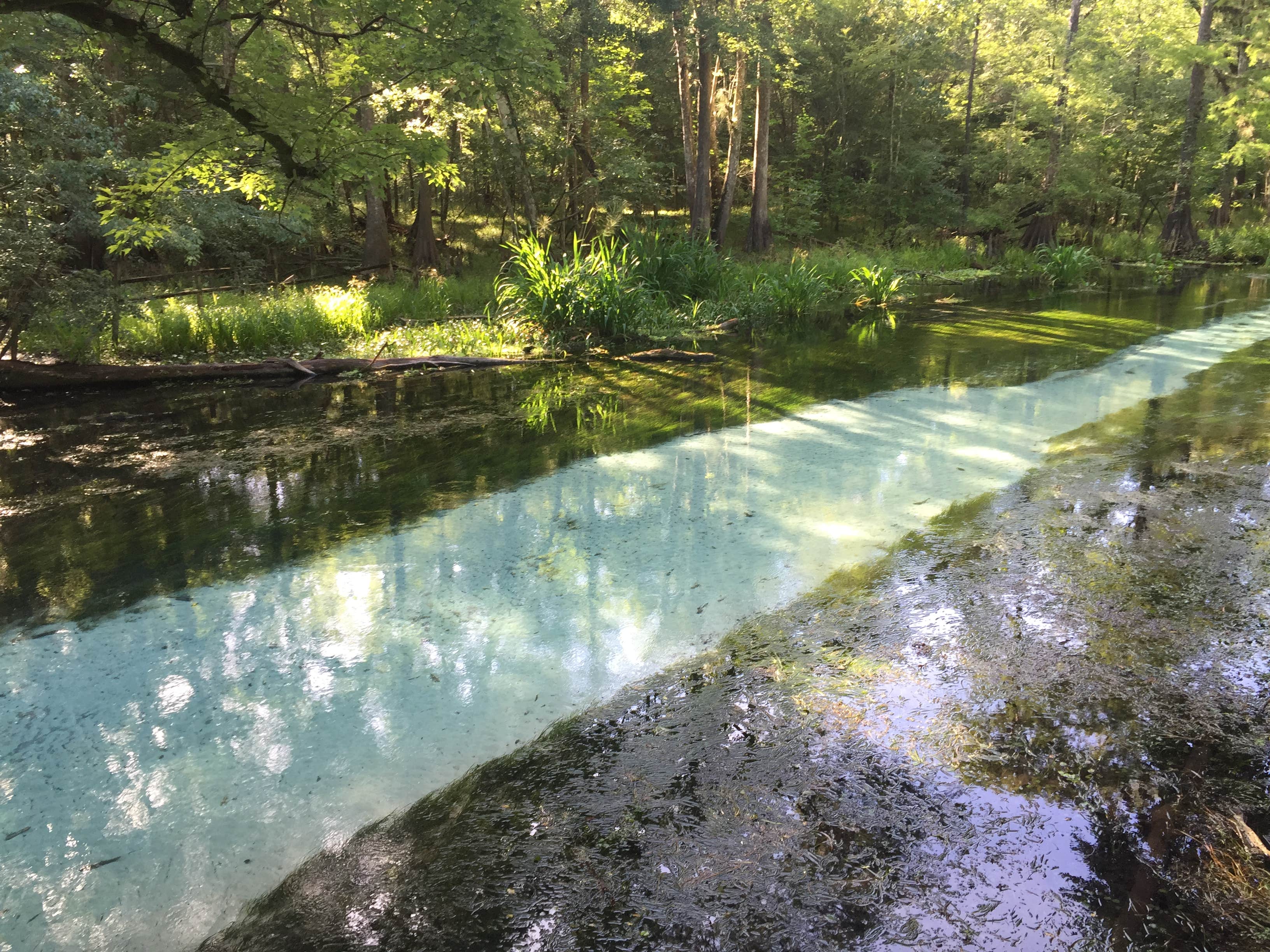 Camper-submitted photo at Ruth B. Kirby Gilchrist Blue Springs State Park Campground near High Springs, FL