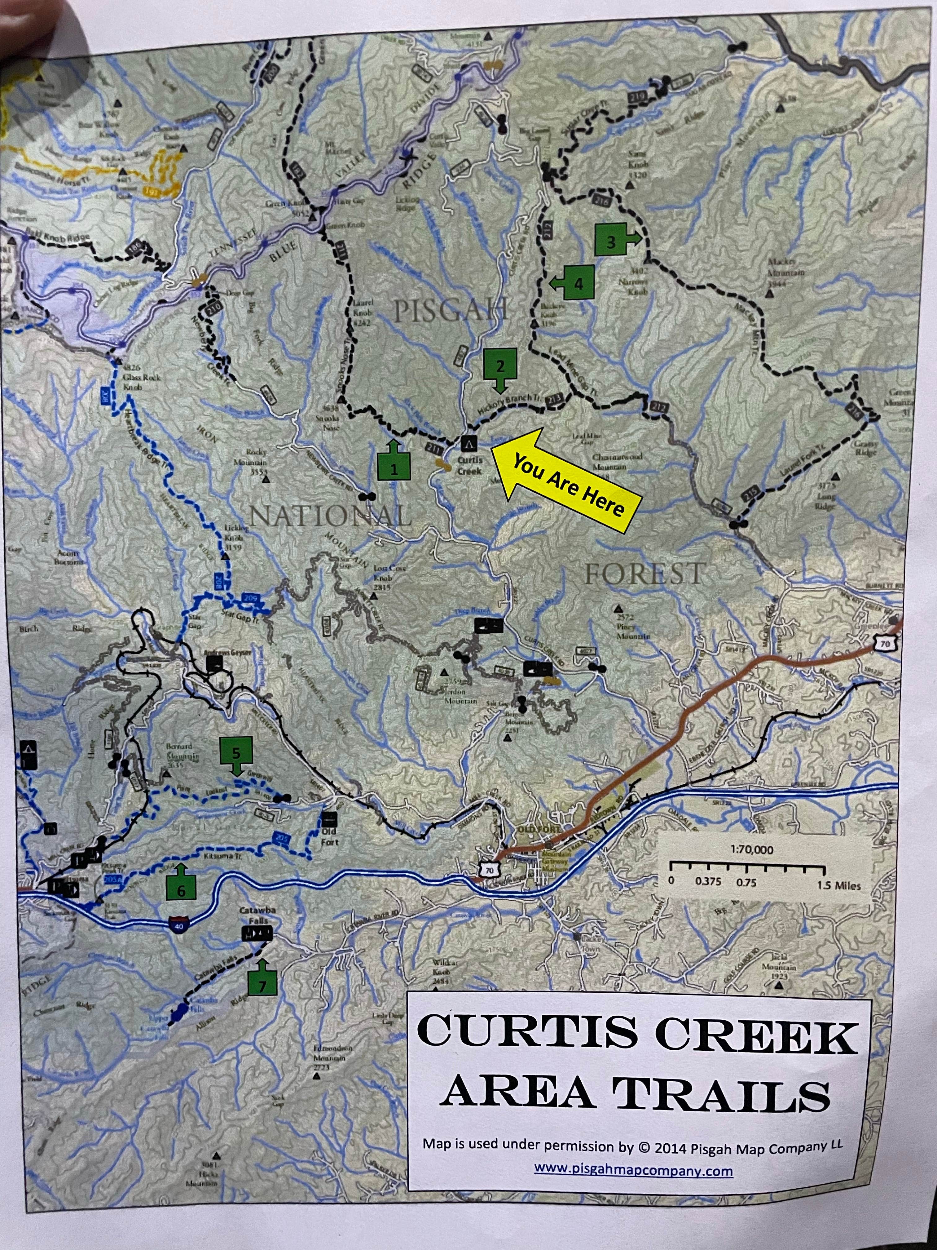 Curtis Creek Campground The Dyrt