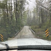 Review photo of Curtis Creek Campground by Caralee B., April 24, 2021