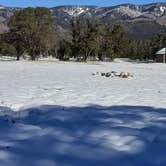 Review photo of Baca Campground by Jamie P., April 24, 2021