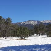 Review photo of Baca Campground by Jamie P., April 24, 2021