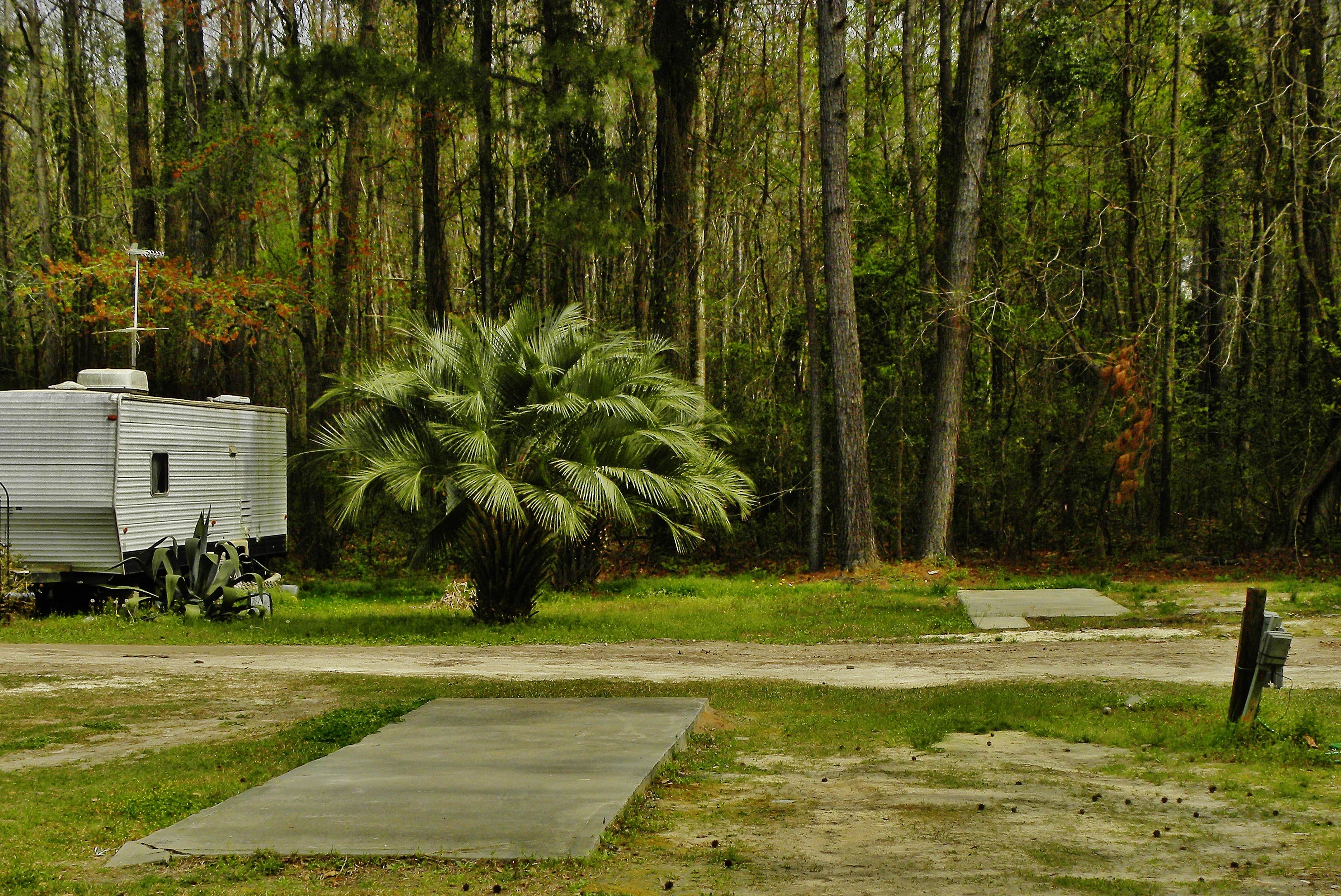 Camper-submitted photo at Taylor's Landing near Manning, SC
