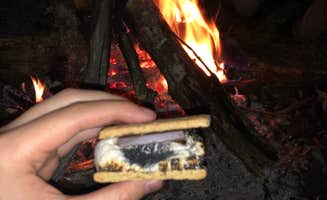 Linda L.'s photo of camping with pets at Fall Creek Falls State Park Campground near Rock Island, TN