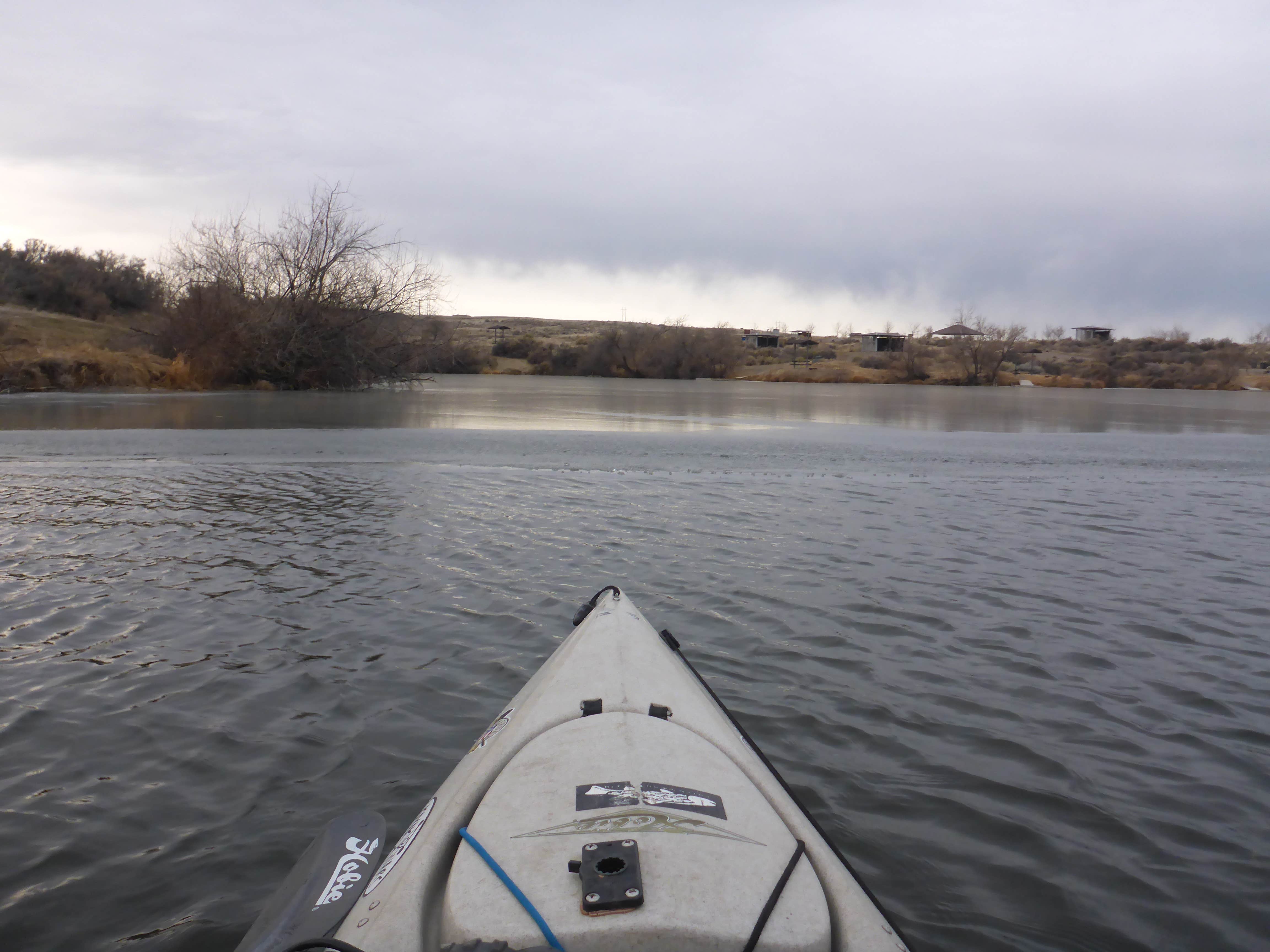 Camper submitted image from Cove at CJ Strike Reservoir - BLM - 5